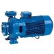 Насосы поверхностные Speroni CS 50-200B