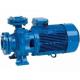 Насосы поверхностные Speroni CS 80-200A