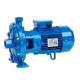 Насоси поверхневі Speroni 2C 25/160A