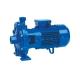Насосы поверхностные Speroni 2C 40/180D