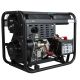 Генераторы, электростанции ITC Power DG6000LE