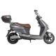 Электроскутеры Maxxter Lumina (Silver)