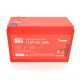 Акумуляторні батареї Merlion LiFePO4 12.8V 7AH (4S2P/BMS-10A) for UPS