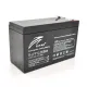 Акумуляторні батареї Ritar LiFePO4 12,8V 9Ah (115,2Wh) BMS4.5A