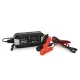 Зарядные устройства Merlion BYGD FBC1236 6V/12V