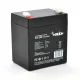 Аккумуляторные батареи Merlion EV 6-DZM-5 12V 5Ah