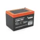 Акумуляторні батареї Merlion 6-DZM-14 12V 14Ah
