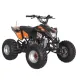 Квадроциклы Hecht 54125 ORANGE