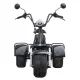 Електроскутери Maxxter TRIKE, 1000 Вт, чорний (blaсk)