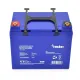 Аккумуляторные батареи Merlion EURO AGM MLTS12330M6 12 V 33 Ah