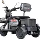 Электроскутеры Maxxter ANT LI (Gray)