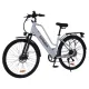 Электровелосипеды SPARK E-CITY EASY GO 18 (серый)