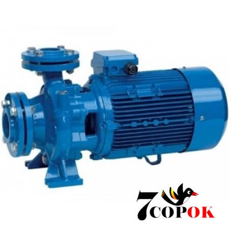 Поверхневий насос для води Speroni CS 80-200B (240 куб/г), купити