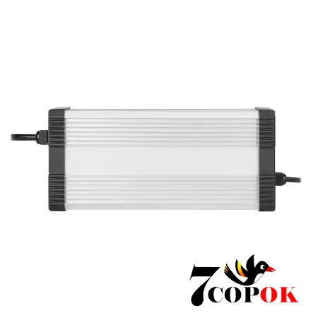 LogicPower LiFePO4 72V (87.6V)-10A-720W-C13 - зарядное устройство для аккумуляторов