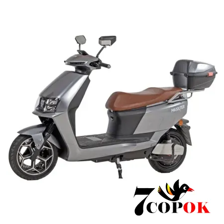 Электроскутер Maxxter Lumina (Silver), купить в Украине