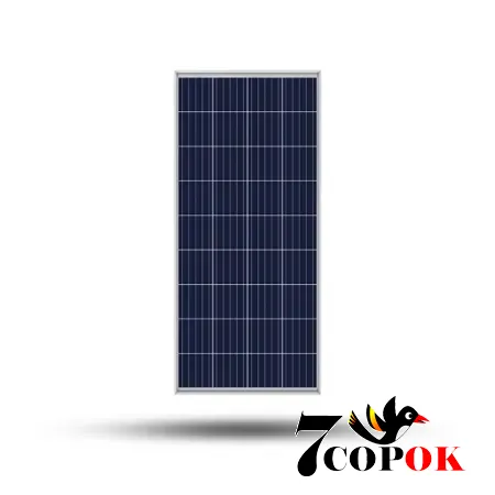 Солнечная панель 160 Вт Axioma Energy AX-160P, купить в Украине
