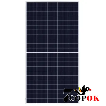 Солнечная панель 545 Вт Risen Energy RSM110-8-545M, купить в Украине