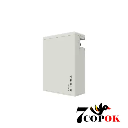 Аккумулятор для солнечных батарей Solax Prosolax Slave Pack T-BAT HV11550