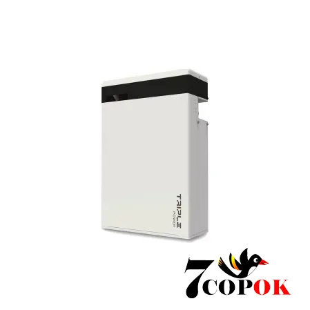 Аккумулятор для солнечных батарей Solax Prosolax Master Pack T-BAT H5.8