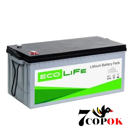 Акумулятор EcoLiFe LF24-150 LiFePO4 24v, літій-залізо-фосфатний, купити