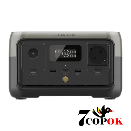 Портативна зарядна станція для дому EcoFlow RIVER 2 (256 Вт·год) (0.3 кВт)