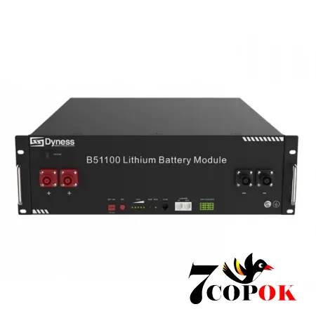 Аккумулятор для солнечных батарей Аккумулятор DYNESS BX51100 LiFePO4 51,2V/100AH