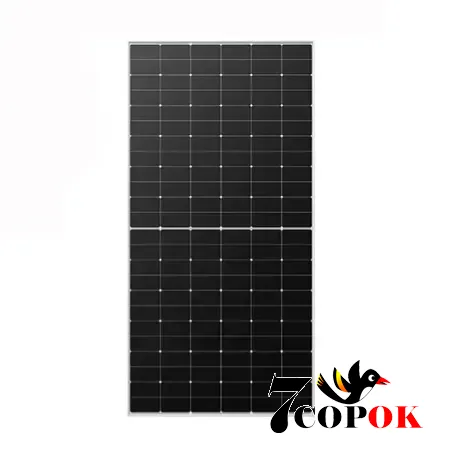 Сонячна панель 585 Вт Tongwei TWMND-72HS585W 585Вт, купити в Україні