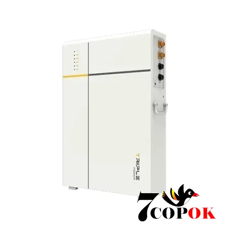 Аккумулятор для солнечных батарей Solax Prosolax T-BAT-LV D53, купить