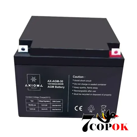Акумулятор AXIOMA energy AX-AGM-30, літій-залізо-фосфатний, купити