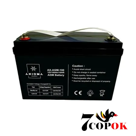 Акумулятор AXIOMA energy AX-AGM-100, AGM свинцево-кислотний, купити