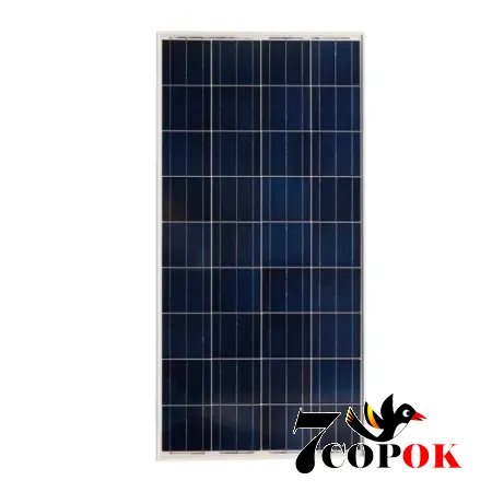 Сонячна панель 170 Вт Axioma Energy AX-170P, купити в Україні