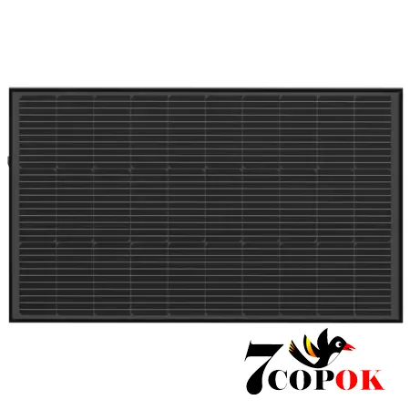 Солнечная панель 100 Вт EcoFlow 100W Solar Panel Стационарная, купить