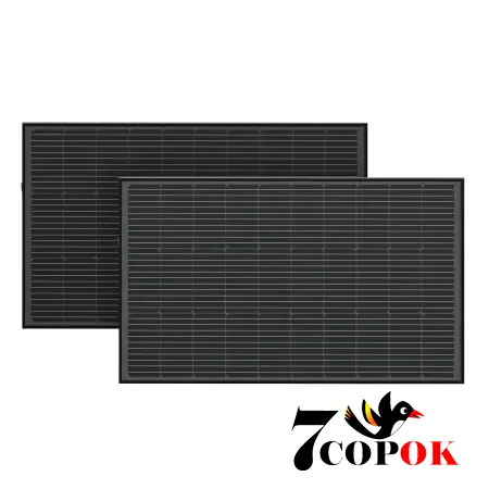 Солнечная панель 200 Вт EcoFlow 2*100 Solar Panel, купить в Украине
