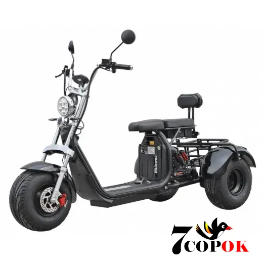 Электроскутер Maxxter TRIKE 2.0 (blaсk), купить в Украине