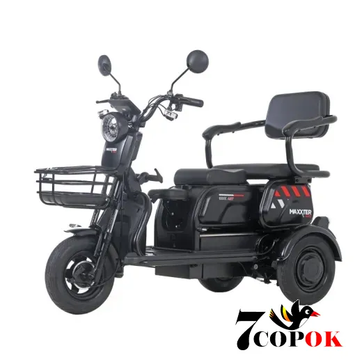 Электроскутер Maxxter ANT (Black), купить в Украине