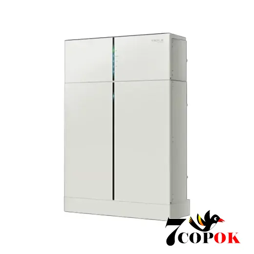 Аккумулятор для солнечных батарей Solax PROSOLAX T-BAT H 2.7 (HV10230)