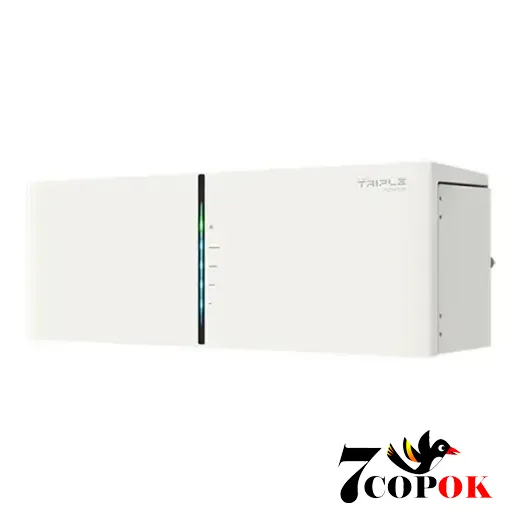 Аккумулятор для солнечных батарей Solax Prosolax BMS МС0600, купить