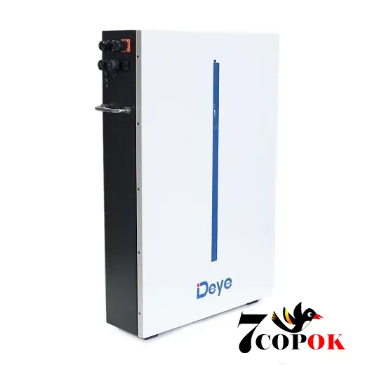 Аккумулятор для солнечных батарей Deye LiFePO4 RW-M6.1-B 51,2V 120Ah