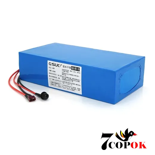 Літій іонний акумулятор QiSuo 48V 20A (Li-ion 18650), купити