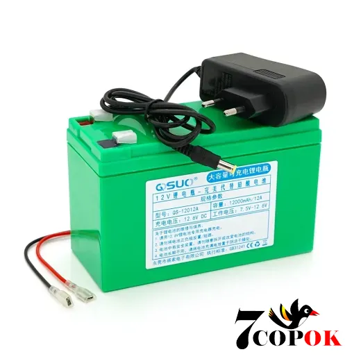 Літій іонний акумулятор QiSuo 12 V 12A (Li-ion 18650) + ЗП, купити