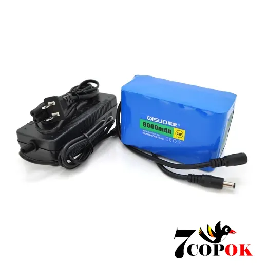 Літій іонний акумулятор QiSuo 24V 9A (Li-ion 18650) + ЗП, купити
