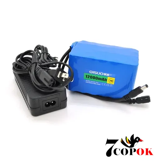 Літій іонний акумулятор QiSuo 24V 12A (Li-ion 18650) + ЗП, купити