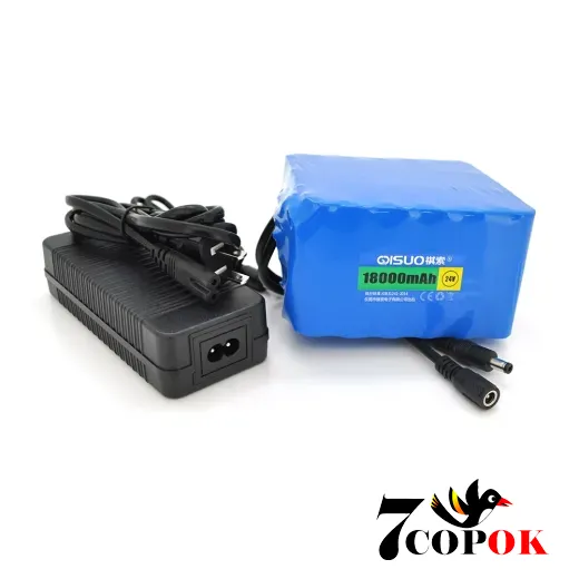 Літій іонний акумулятор QiSuo 24V 18A (Li-ion 18650) + ЗП, купити