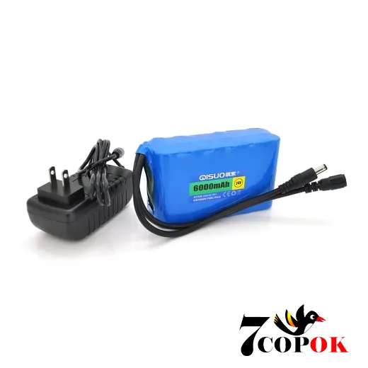 Літій іонний акумулятор QiSuo 24V 6A (Li-ion 18650) + ЗП, купити