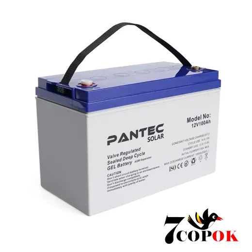 Гелевий акумулятор PANTEC 100-12 GEL 12V 100 Ah, купити в Україні