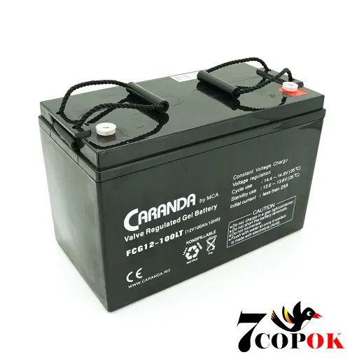 Гелевий акумулятор MCA FCG12-100LT GEL 12 V 100 Ah, купити в Україні