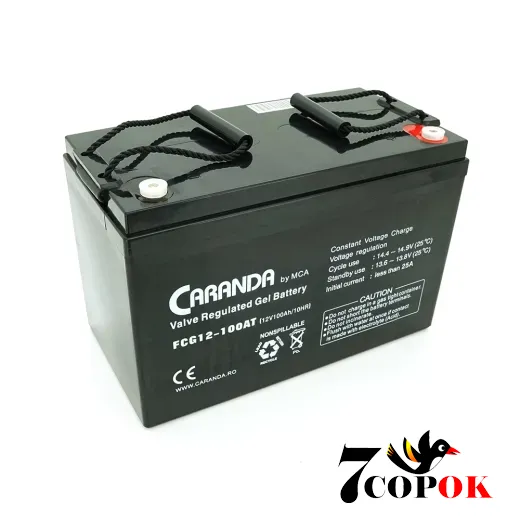 Гелевий акумулятор MCA FCG12-100AT GEL 12 V 100 Ah, купити в Україні