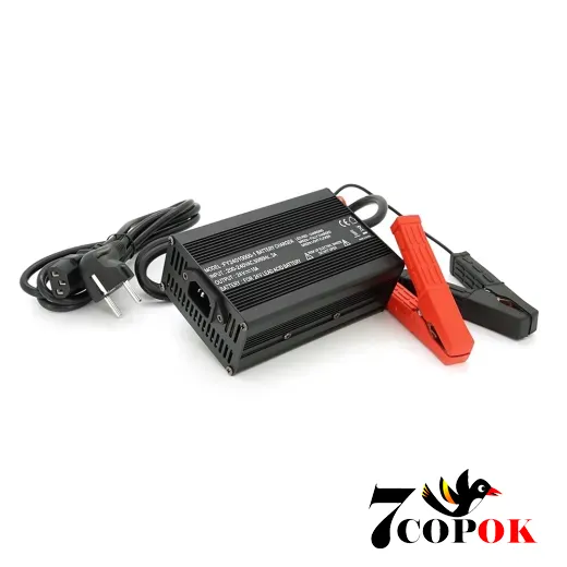 Voltronic AGM 24V 10A - зарядное устройство для аккумуляторов, купить