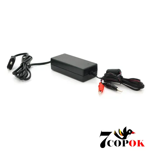 Mervesan MT-4024C - зарядное устройство для аккумуляторов, купить