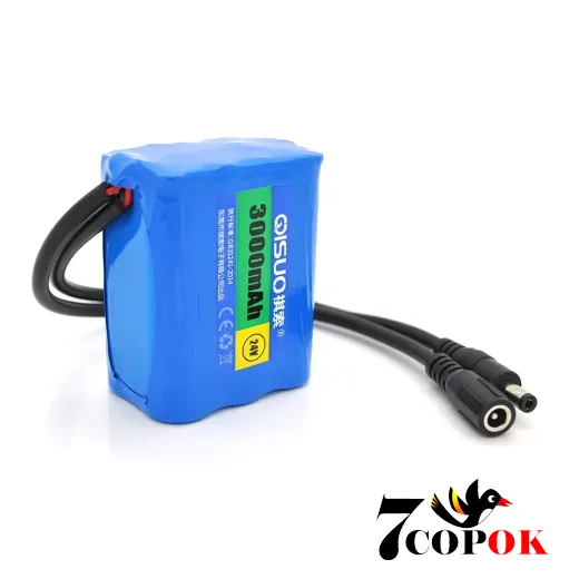 Літій іонний акумулятор QiSuo 24V 3A (Li-ion 18650), купити в Україні